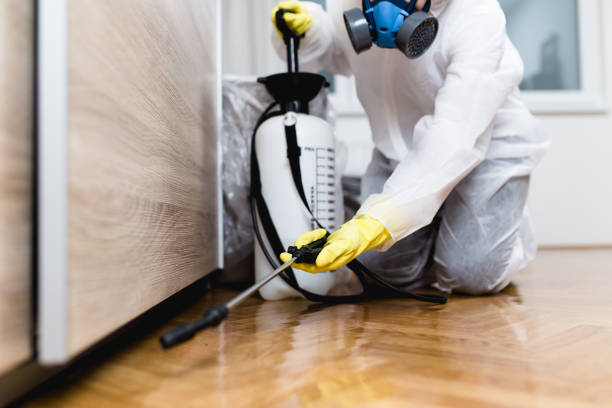 Best Affordable Pest Control Services  in Exeter, PA
