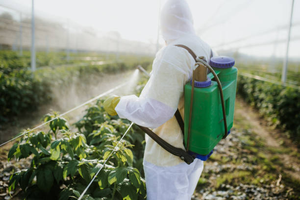 Best Termite Control Services  in Exeter, PA